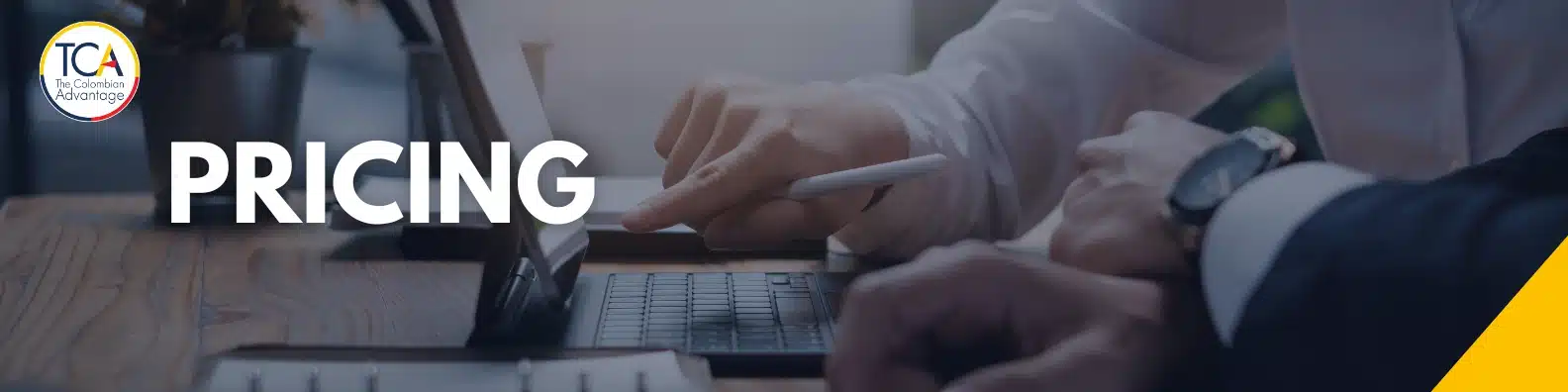 Pricing professionals